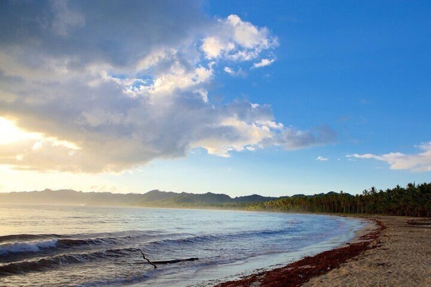 Tropical Tranquility: Discover Samana, Playa Rincón and much more