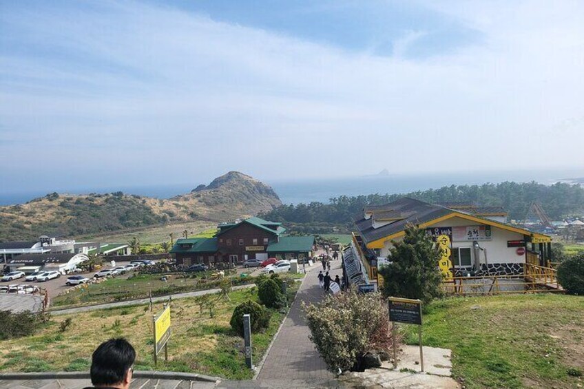 Jeju south Island Bus(or Taxi )Tour included Lunch & Entrance fee