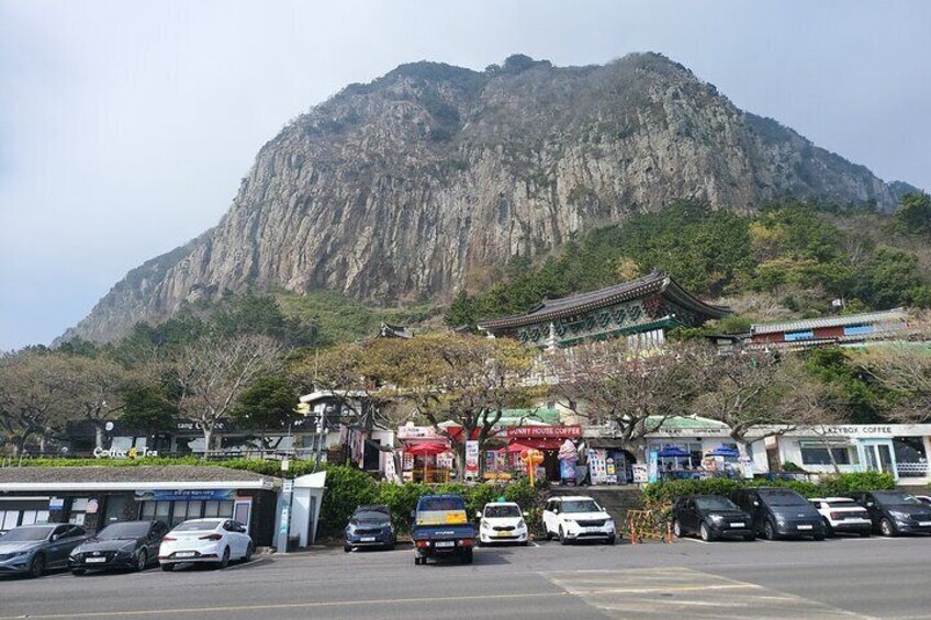 Jeju south Island Bus(or Taxi )Tour included Lunch & Entrance fee