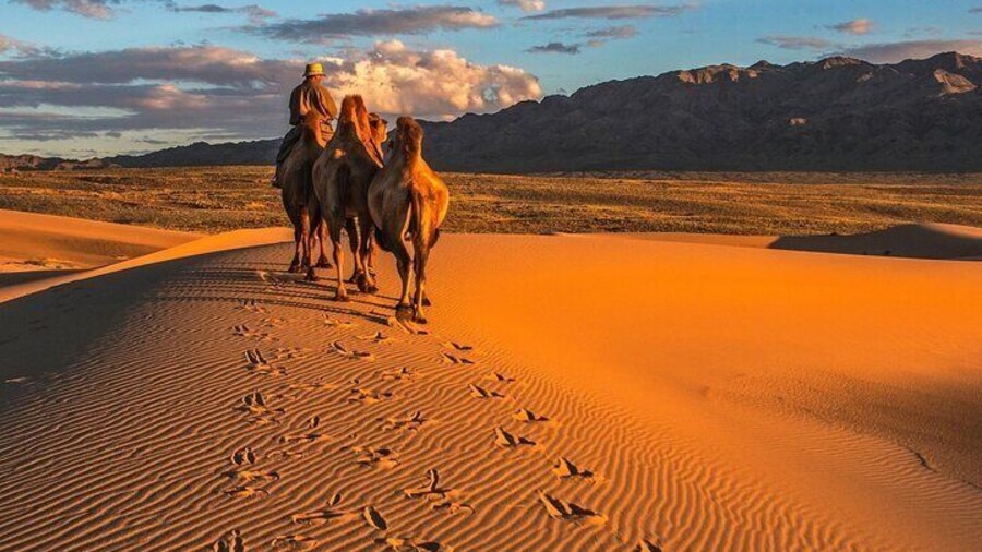 A Day Trip to Semi-Gobi