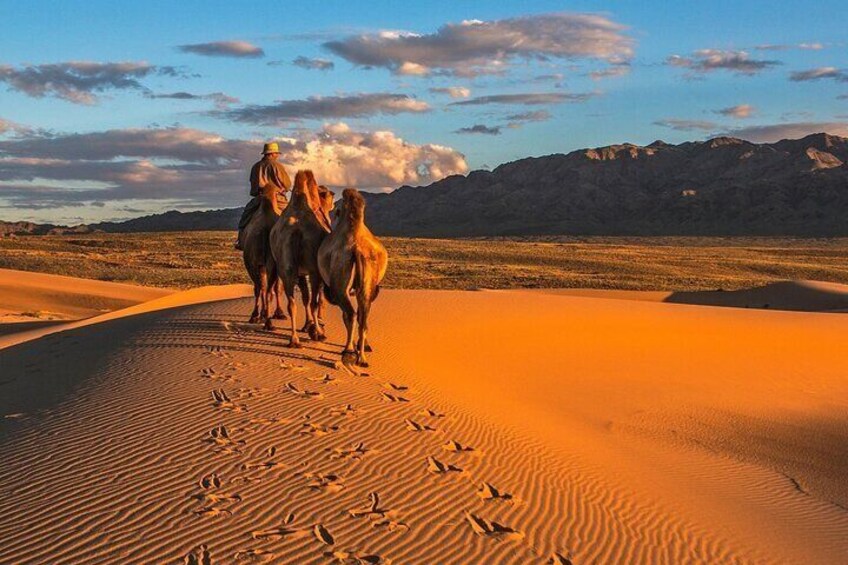 A Day Trip to Semi-Gobi (bonus visit to Khustai National Park)