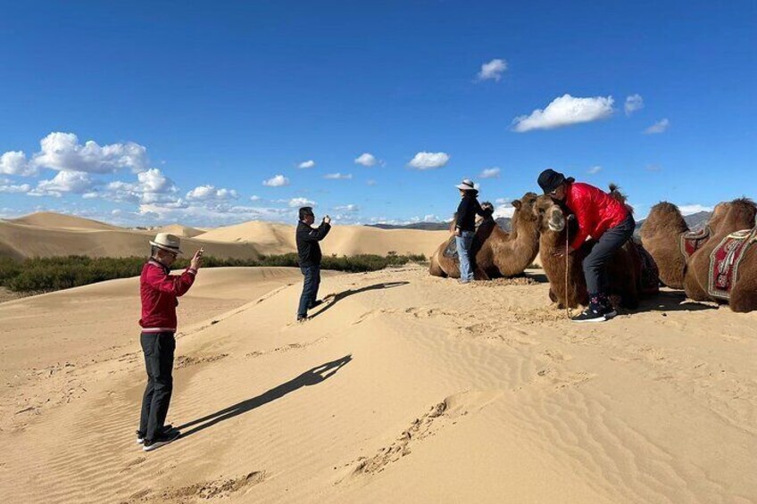 A Day Trip to Semi-Gobi (bonus visit to Khustai National Park)