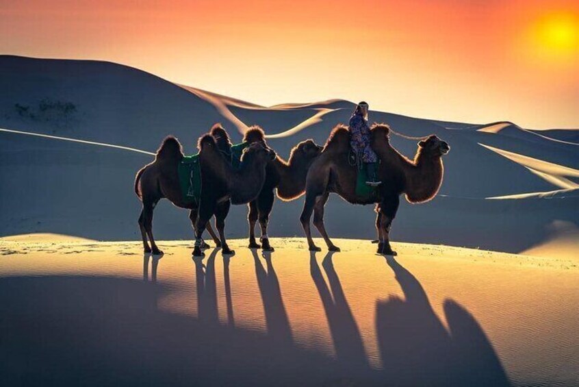 A Day Trip to Semi-Gobi: Elsen Tasarkhai