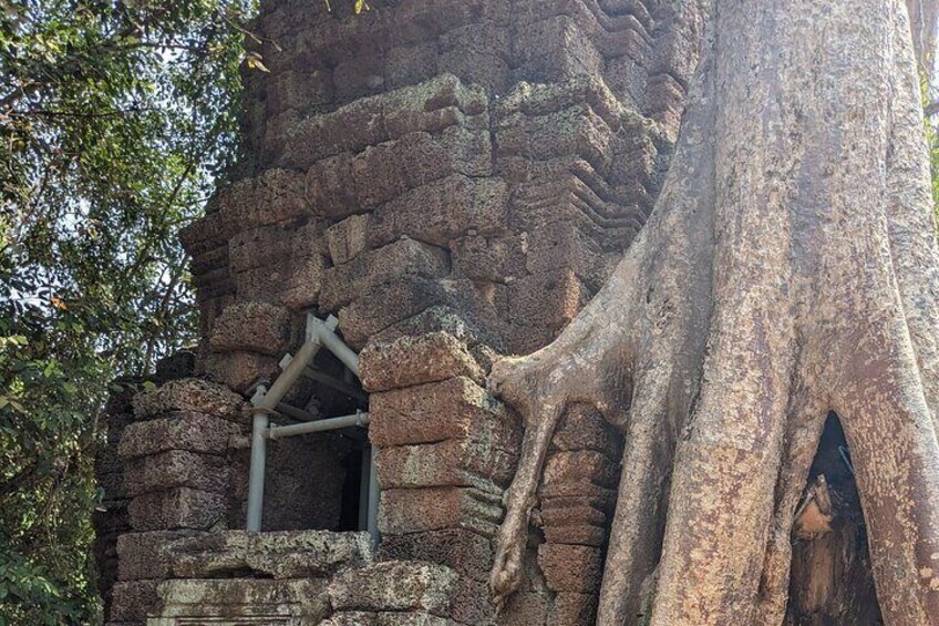 Angkor Wat Temple Tour with own Tuk Tuk Driver