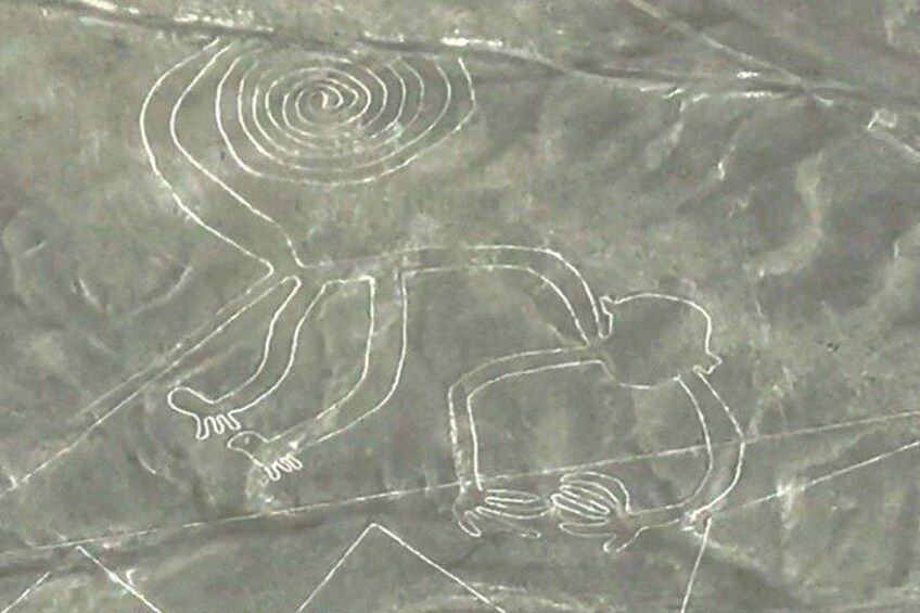 Nazca Lines and Huacachina Oasis from Lima