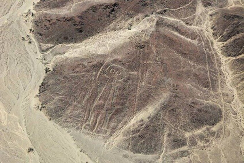  Nazca Lines and Huacachina Oasis from Lima. Flight from Nazca