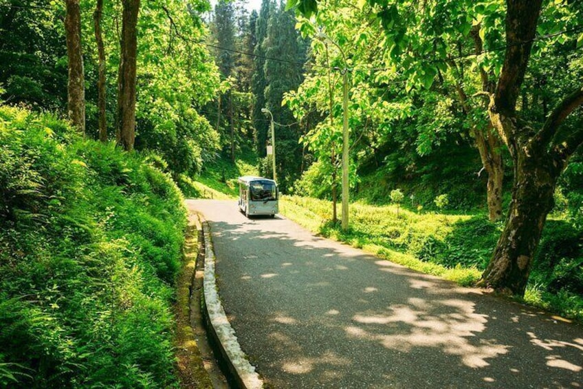 Batumi Botanical Garden