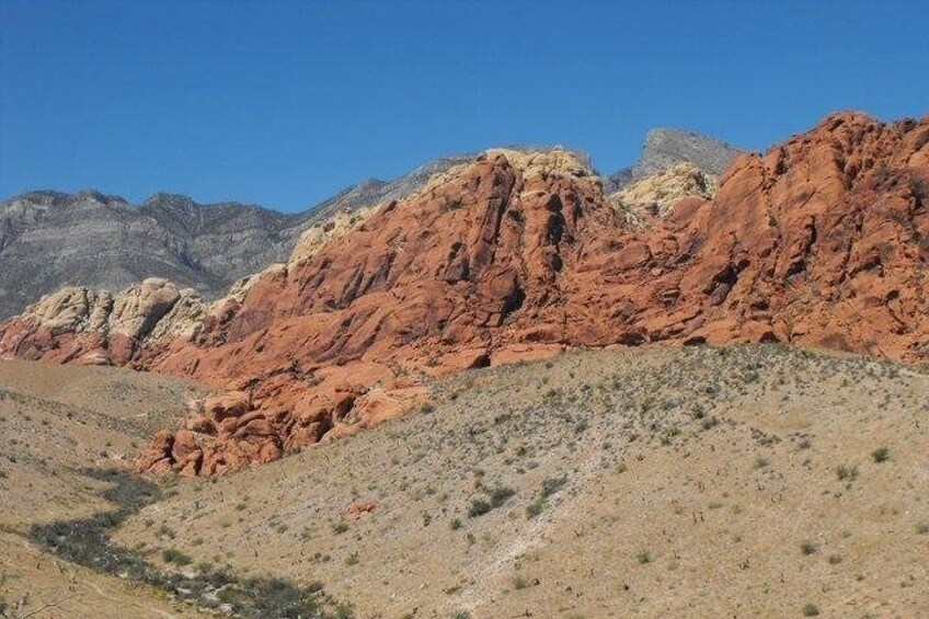 Guided Mountain Bike Tour of Mustang Trail in Red Rock Canyon