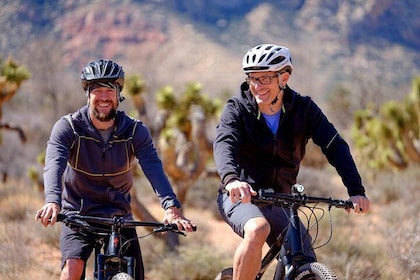 Guided Mountain Bike Tour of Mustang Trail in Red Rock Canyon