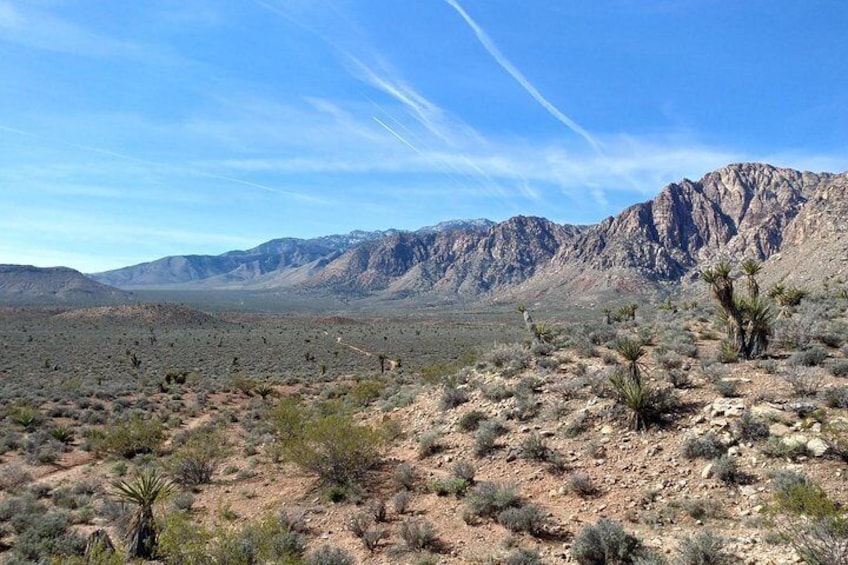 Guided Mountain Bike Tour of Mustang Trail in Red Rock Canyon