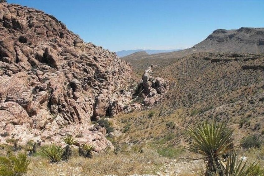 Guided Mountain Bike Tour of Mustang Trail in Red Rock Canyon