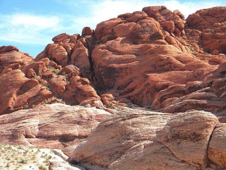 Guided Mountain Bike Tour of Mustang Trail in Red Rock Canyon