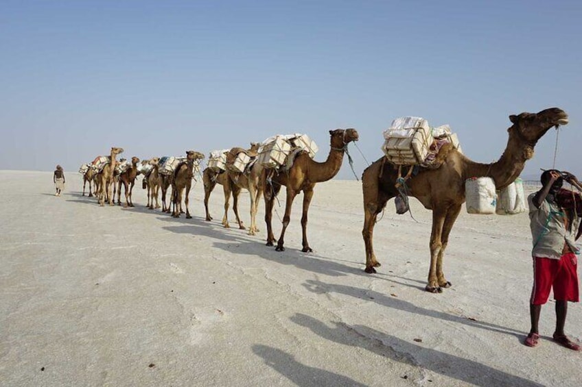 3 Days Danakil Depression Tour