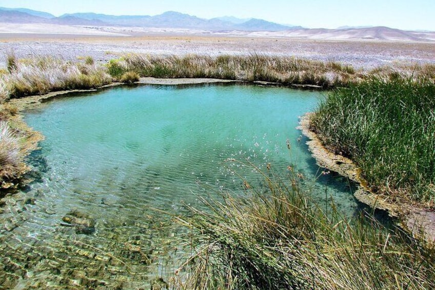 2 Hour Private Tour in Tecopa Hot Springs