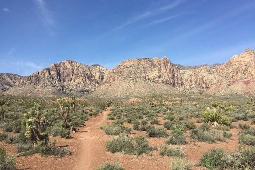 Guided or Self-Guided Road Bike Tour of Red Rock Canyon