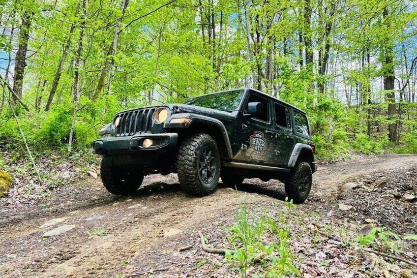 New River Gorge Jeep Tour (Half Day)