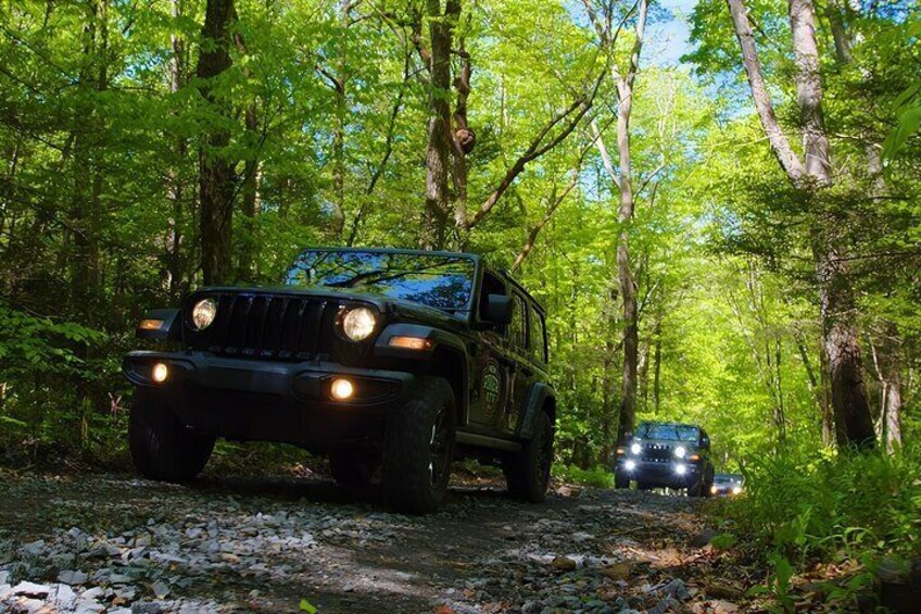 New River Gorge Jeep Tour (Half Day)