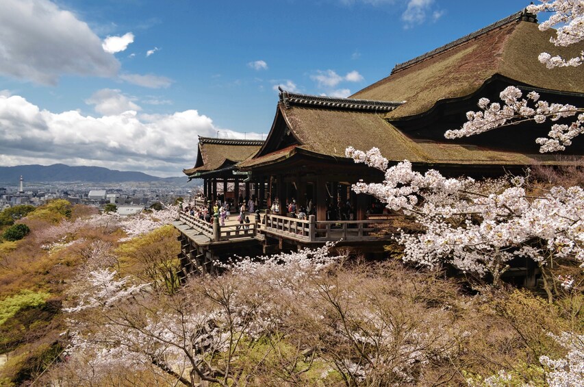 Full-Day Bus Tour of Kyoto