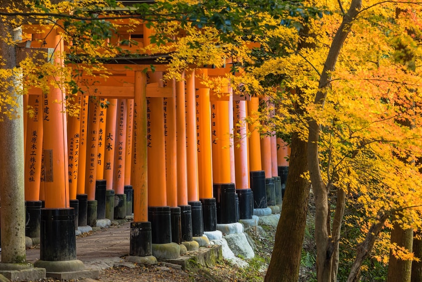Kyoto 1 Day UNESCO Sites Bus Tour