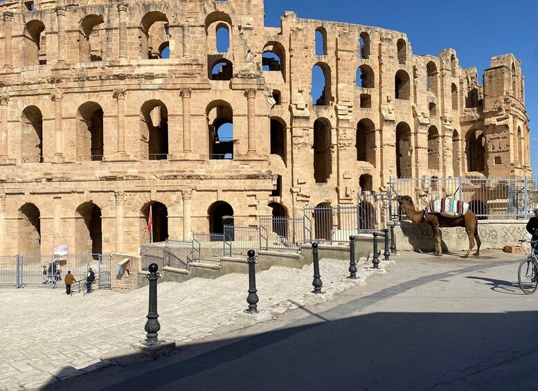 Picture 15 for Activity From Sousse: Private Half-Day El Jem Amphitheater Tour