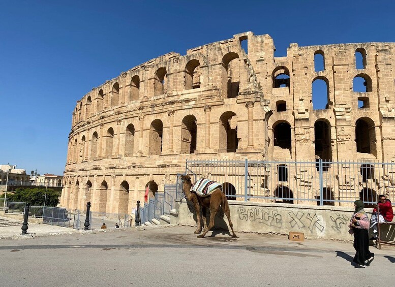 Picture 14 for Activity From Sousse: Private Half-Day El Jem Amphitheater Tour