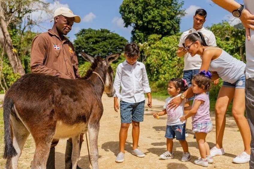 Experience La Hacienda Park