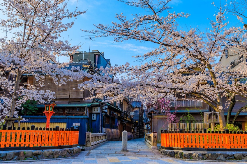 Full-Day Bus Tour to Kyoto with Fushimi Inari&Maiko Meeting