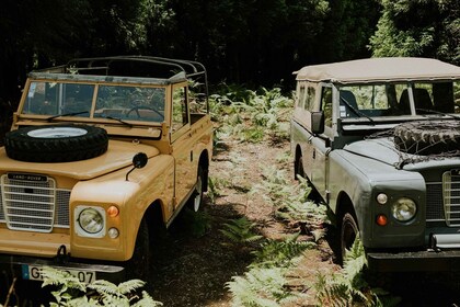 Terceira: Excursión de día completo en Jeep