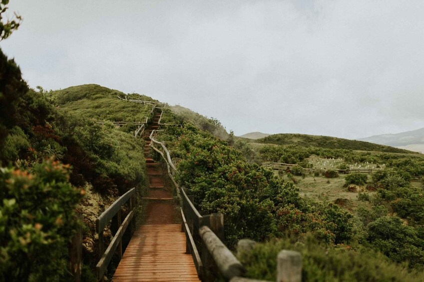 Picture 5 for Activity Terceira : Full Day Jeep Tour