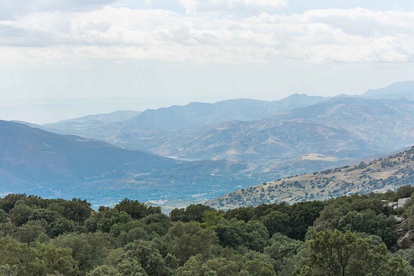 Picture 5 for Activity From Granada: Alpujarra Villages Guided Day Tour