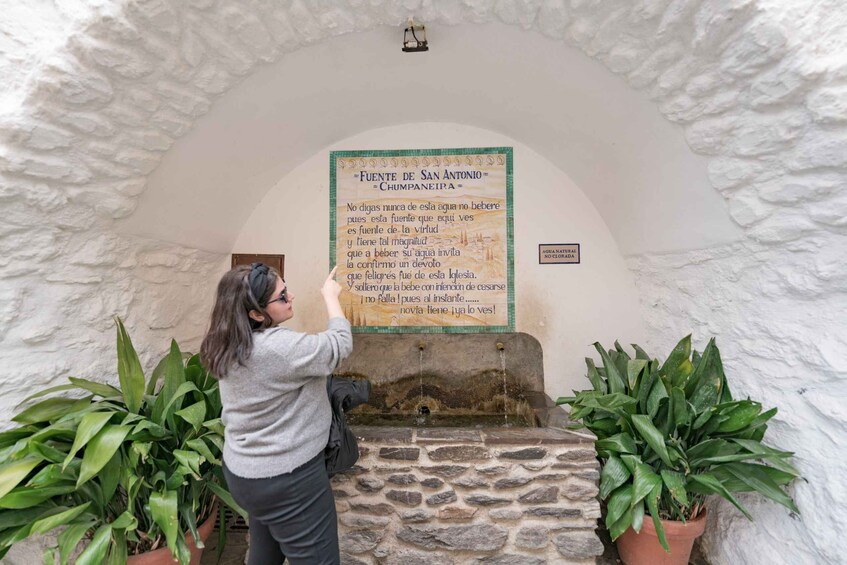 Picture 16 for Activity From Granada: Alpujarra Villages Guided Day Tour
