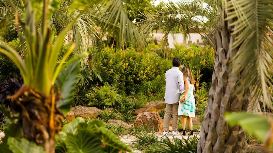Houston: Houston Botanic Garden Entry Ticket