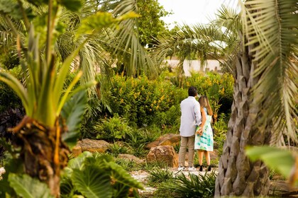 ヒューストン：ヒューストン植物園入場券