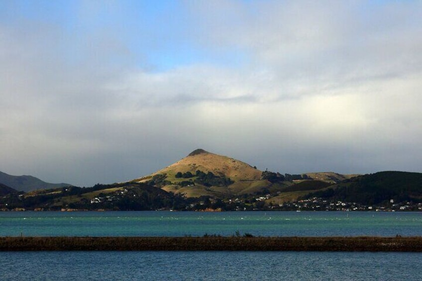 Pukemata/Harbour Cone in the pennisula. It’s a remnant of the massive volcano which shaped the landscape in these parts