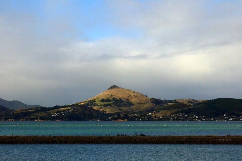 Pukemata/Harbour Cone in the pennisula. It’s a remnant of the massive volcano which shaped the landscape in these parts