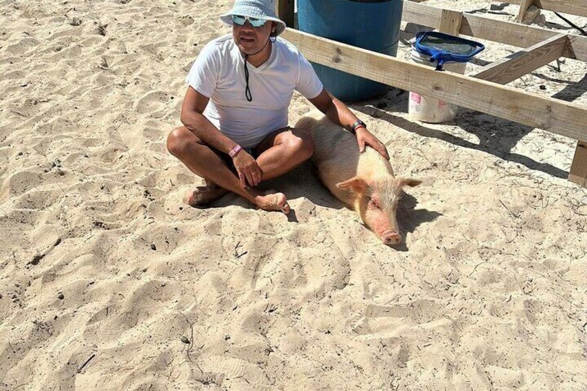  Nassau: Swimming Pigs, Turtles, Snorkeling -All Day- with lunch