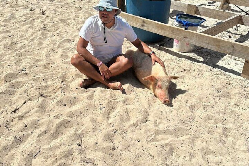 Nassau: Swimming Pigs, Turtles, Snorkeling -All Day- with lunch