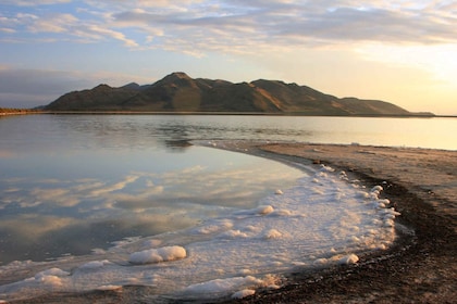 Salt Lake City : Visite guidée du Grand Lac Salé