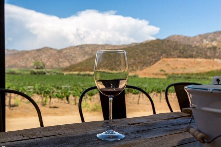 Private Boutique Wine Tour in Valle de Guadalupe