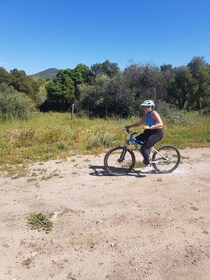 Ensenada : Excursion à terre guidée privée et personnalisable