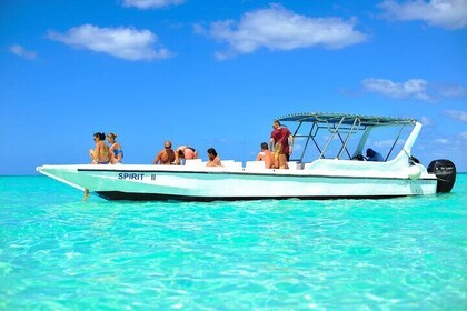 Full Day Excursion to Isla Saona from Santo Domingo