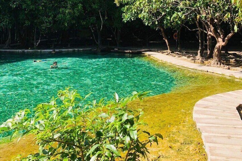 Emerald Pool: Private Jungle Tour Full Day with Lunch