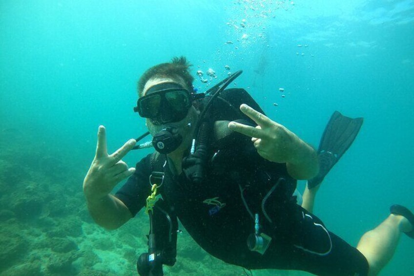 Night Diving in Fujairah with Live BBQ Dinner