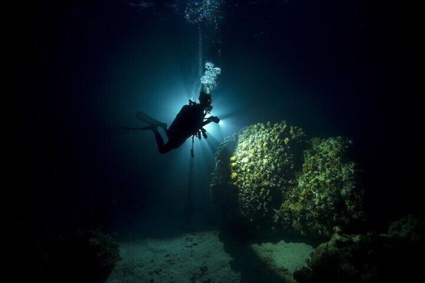 Night Diving in Fujairah with Live BBQ Dinner