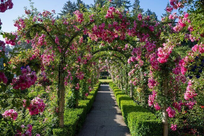 Private Day Tour in Victoria and Butchart Garden from Vancouver