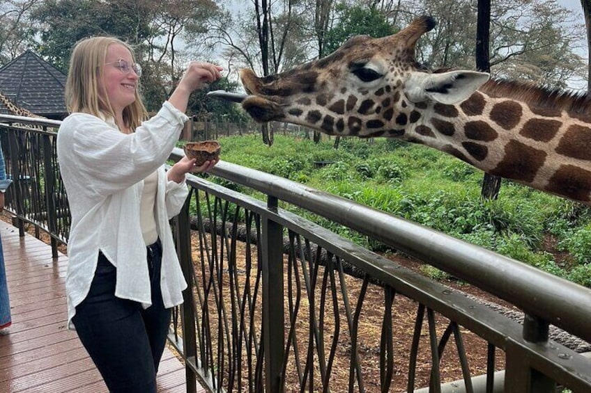 Elephant Orphanage,Nairobi National Park and Giraffe Center tour.