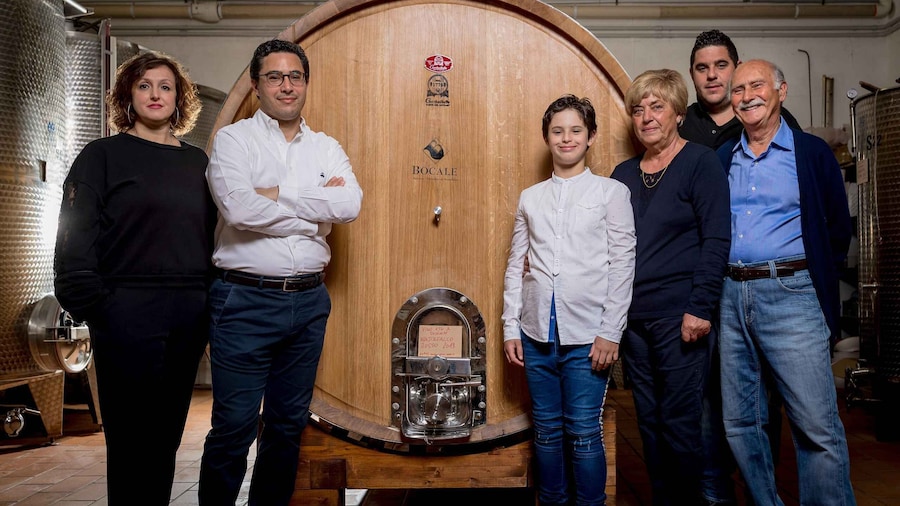 Montefalco: Winery and Vineyard Tour and Private Tasting