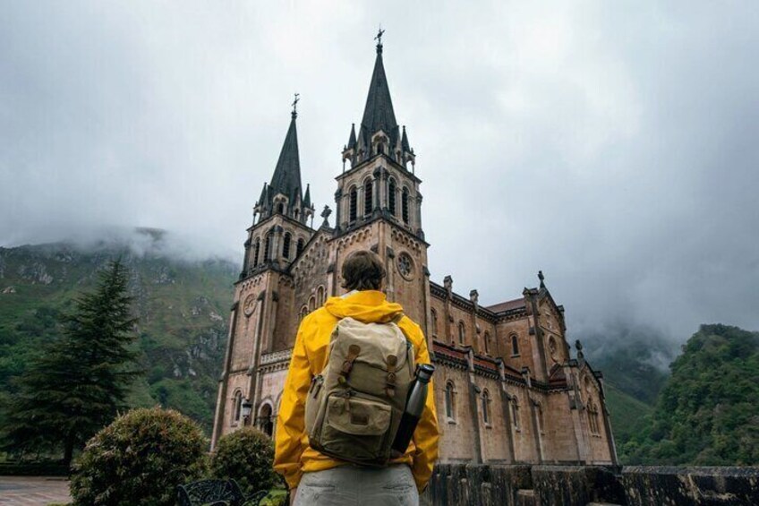 Full-Day Nature Tour: Picos de Europa