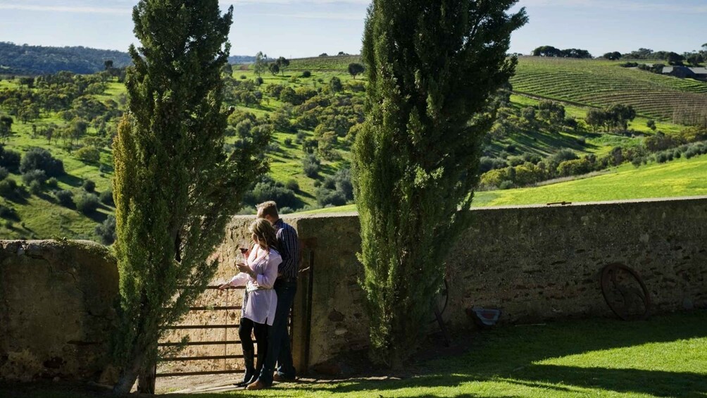 Picture 2 for Activity From Adelaide: Boutique McLaren Vale Wine Tour with Lunch