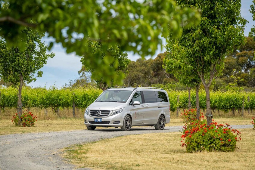 Picture 5 for Activity From Adelaide: Boutique McLaren Vale Wine Tour with Lunch